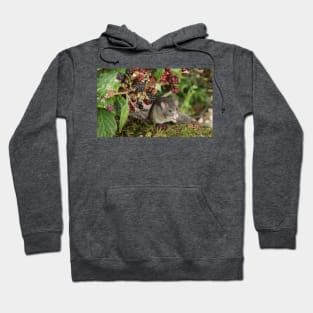 brambles and mouse Hoodie